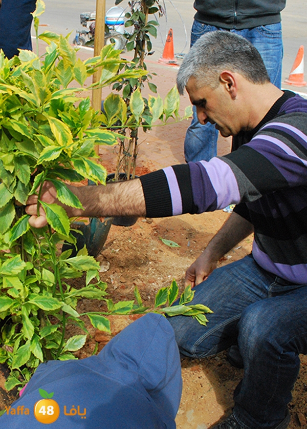 a3malteybeortlud (44).jpg